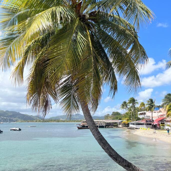Studio La «Kaz' A Coco» Anse Caritan Sainte-Anne Exterior foto